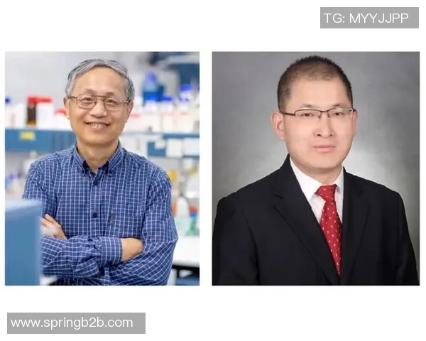 张帆：在风云变幻的时代中探索人生的意义与价值