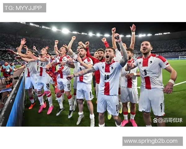 丹麦与波黑友谊赛精彩对决展现足球魅力与团队精神